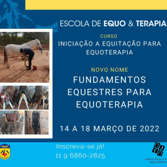 Equoideias de jogos pedagógicos para Equoterapia…baixar PDF