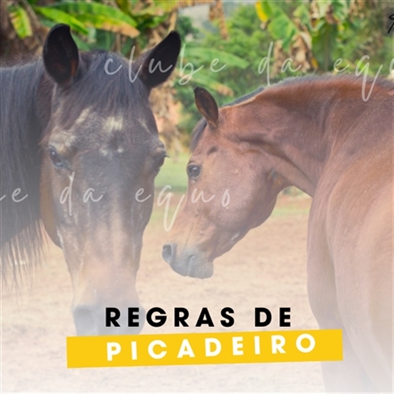 Escola de Equo&Terapias